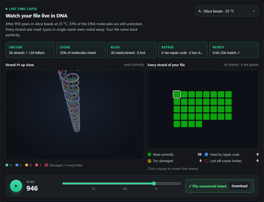 DNA Archive Lab: live time-lapse of a file stored in DNA, with a 3D strand and a map of every strand's status